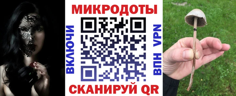 Галлюциногенные грибы GOLDEN TEACHER  Светлогорск 